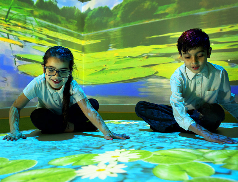 Interactive Projection