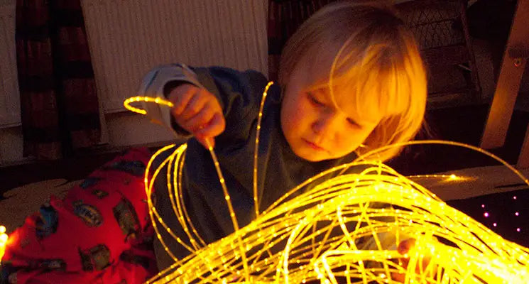 Fibre optic sensory light kit (light source and fibre optic harness) image 0