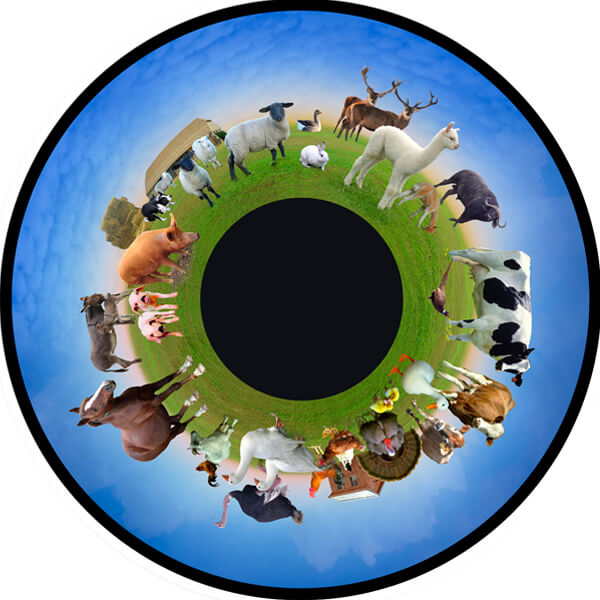 Opti 6" Effects Wheel Farm Animals